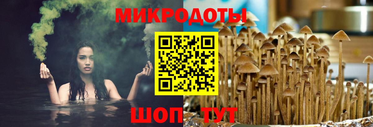 Псилоцибиновые грибы прущие грибы  Вход с VPN  Псилоцибиновые грибы MAGIC MUSHROOMS  Губкин 